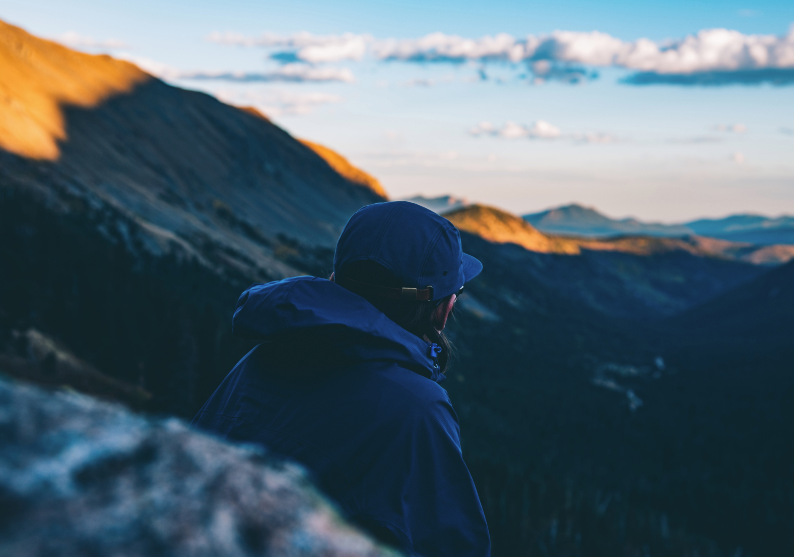 Flexible Banners Section